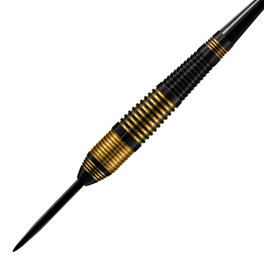 Silver Shark Steel Tip Darts